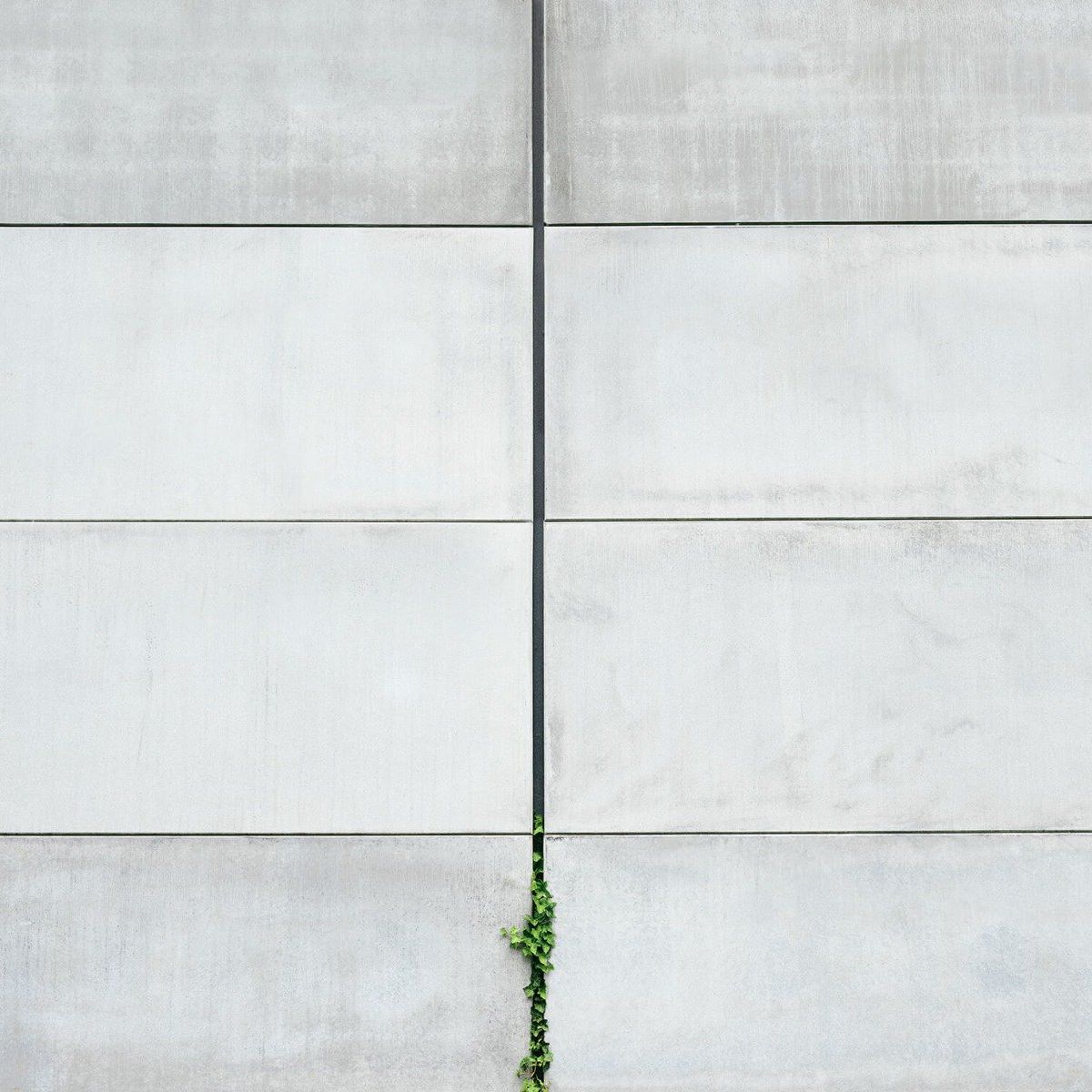 Wall of concrete slabs