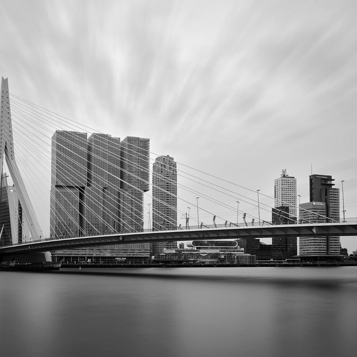 Erasmus bridge black and white