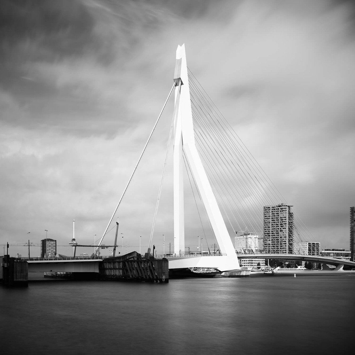 Erasmus Bridge Rotterdam