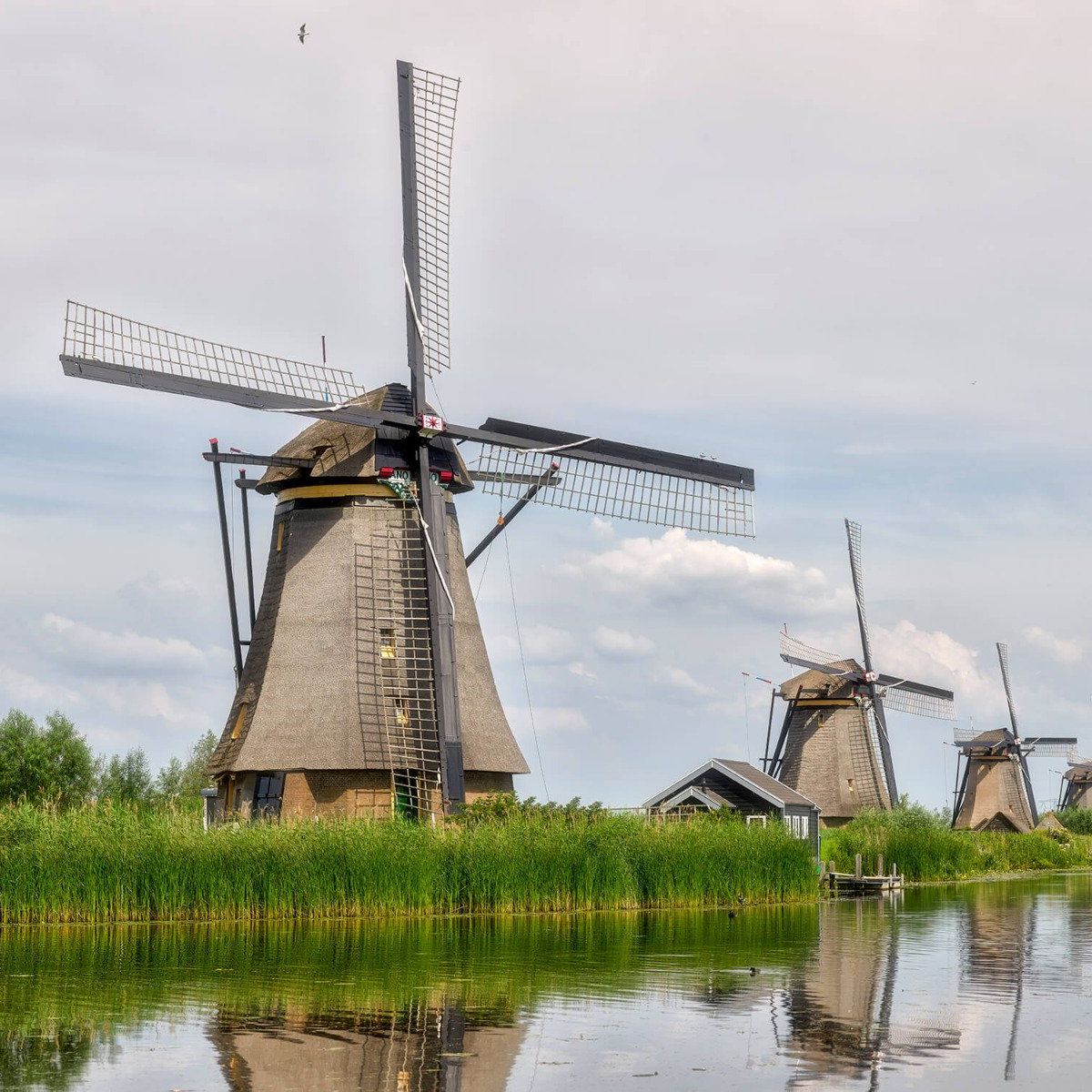 Mühlen Kinderdijk