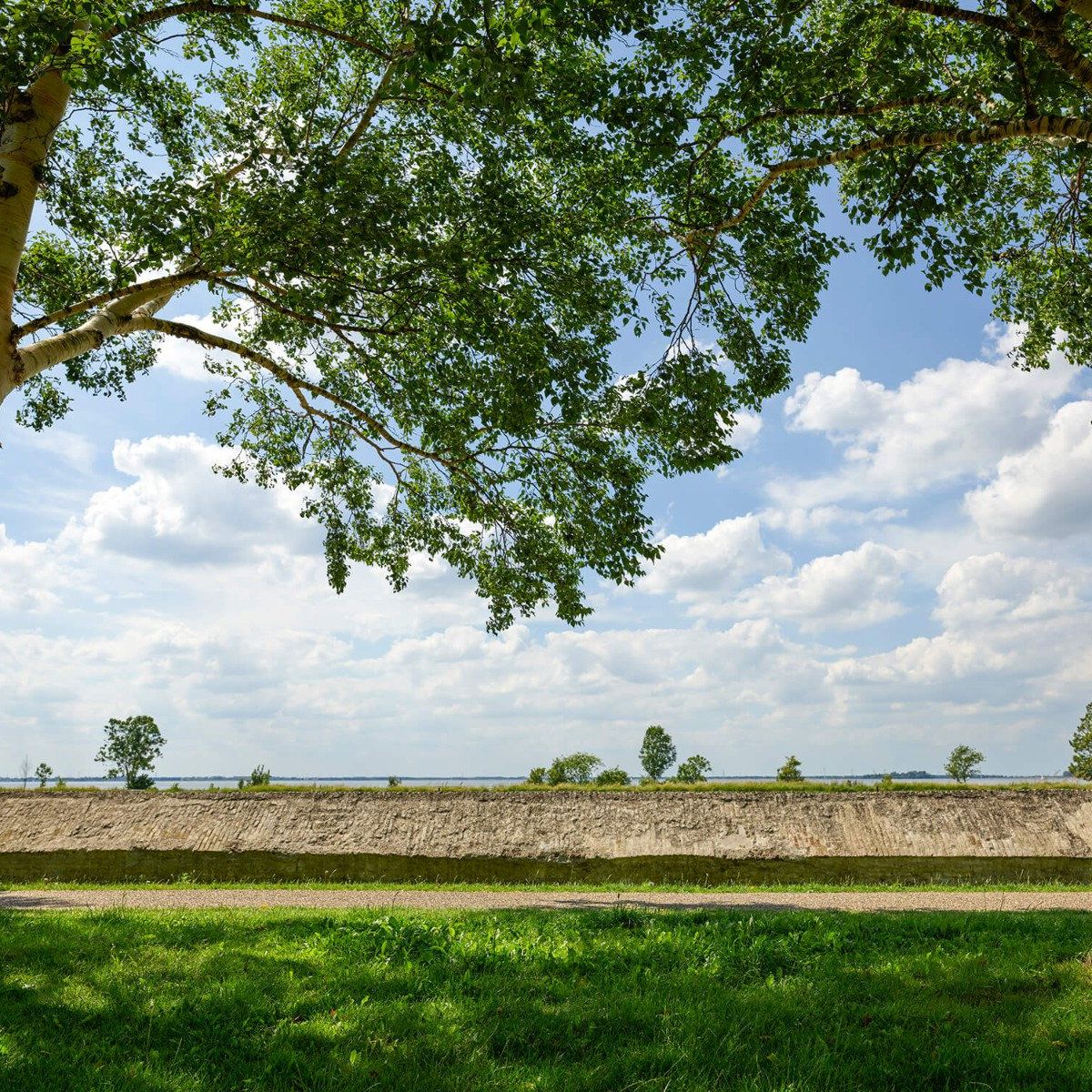 Zonnig uitzicht