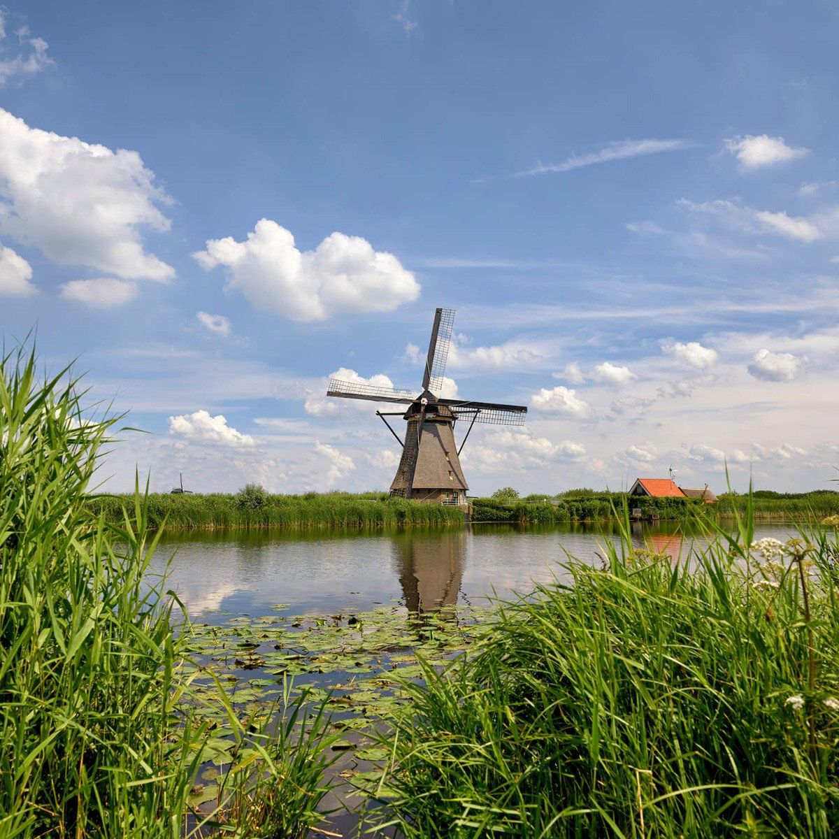 Molen