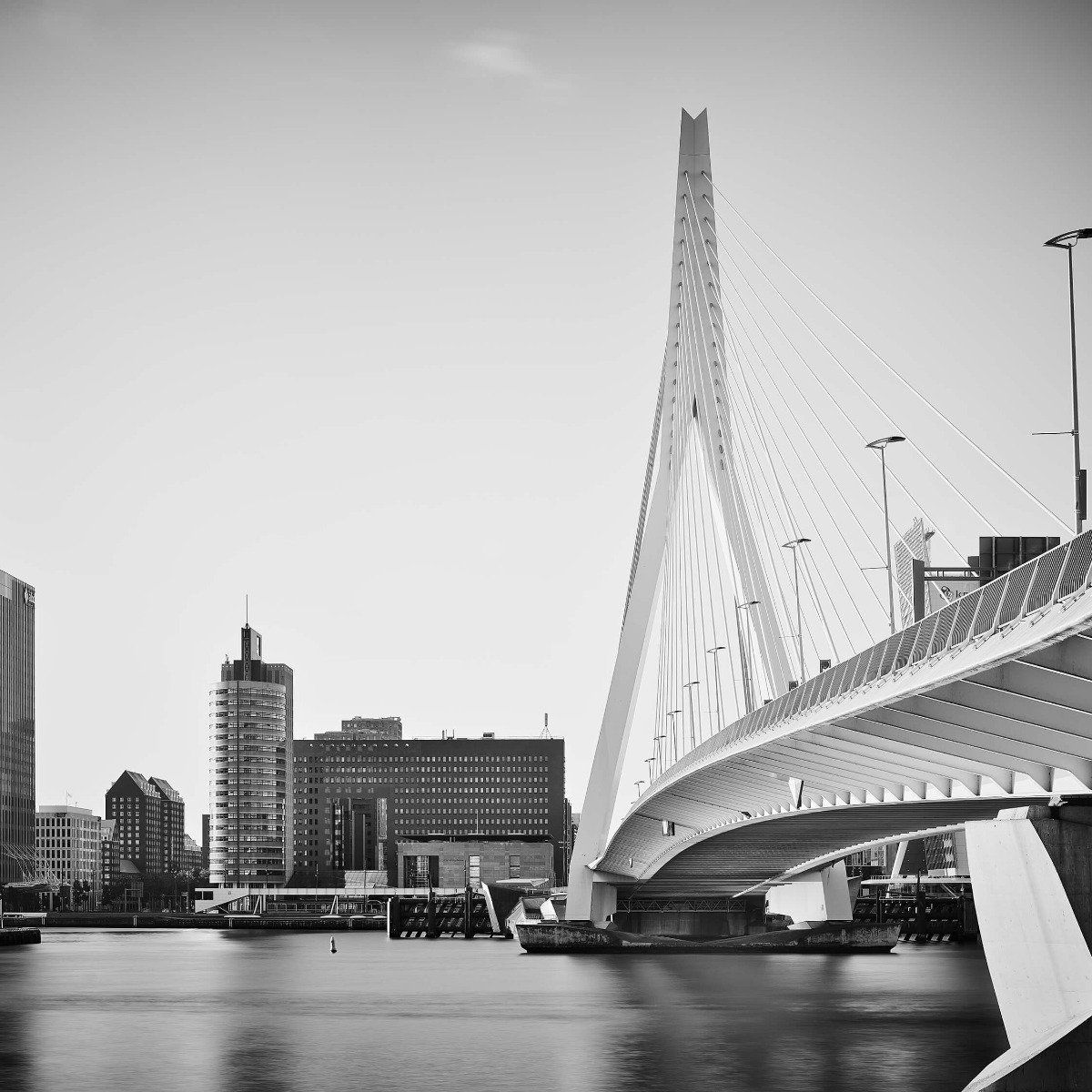 The Erasmus Bridge