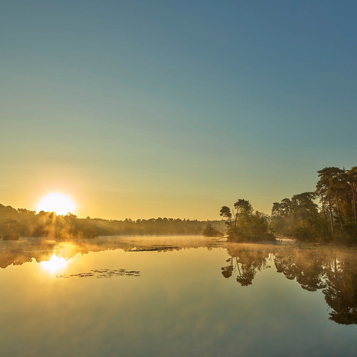 Zonsopkomst bij bosmeer