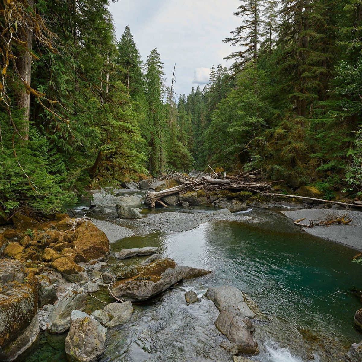 Fluss mit Staudamm