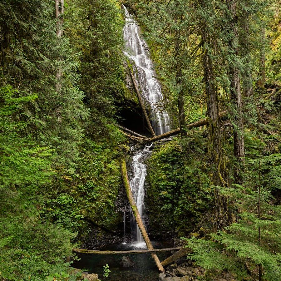 Wasserfall mit umgefallenen Bäumen