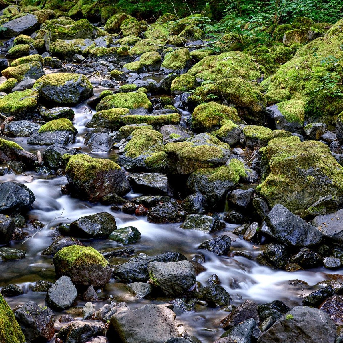 Running water with boulders