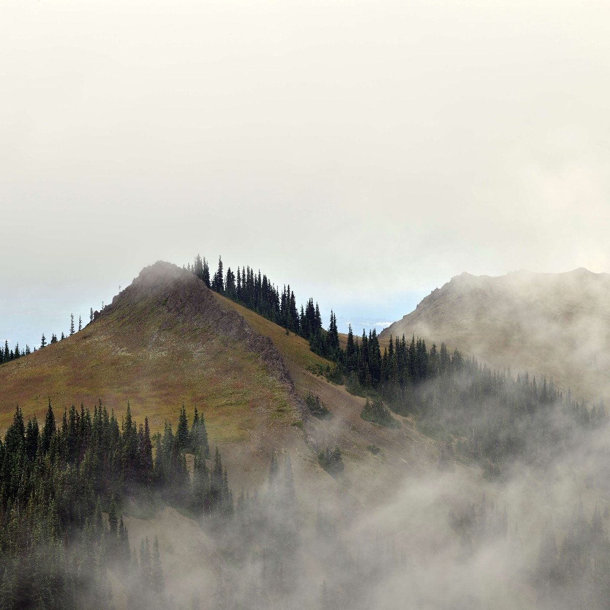 Berg im Nebel