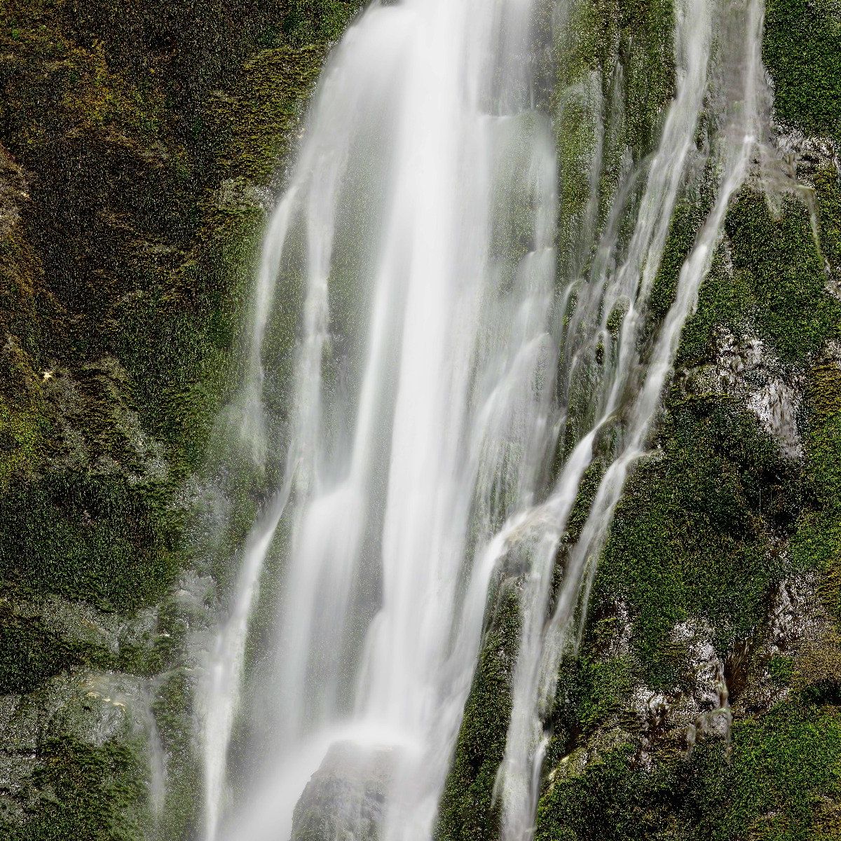 Wasserfall mit Moos