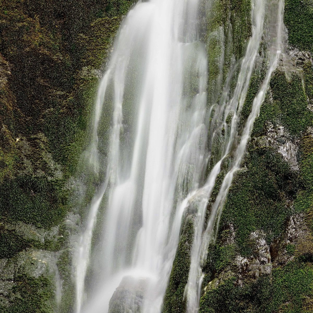 Waterval met mos