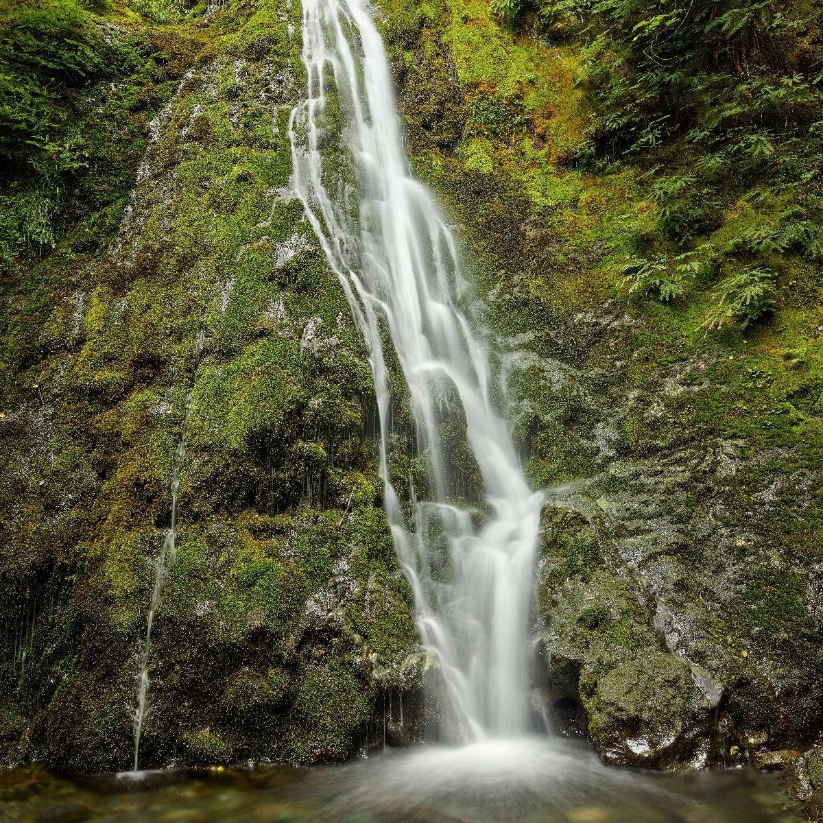 Wasserfall mit schönem Grün