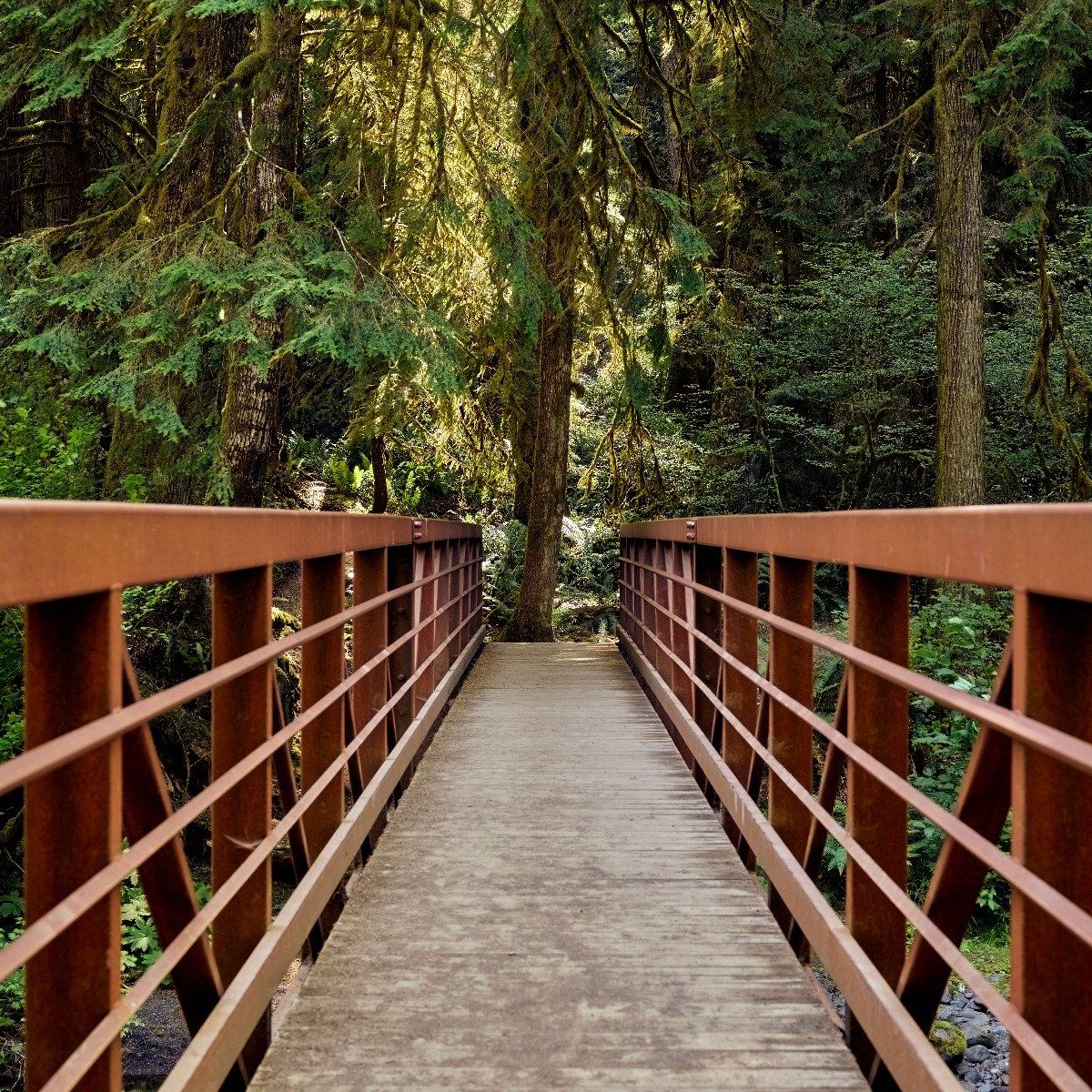 Rostige Brücke im Wald