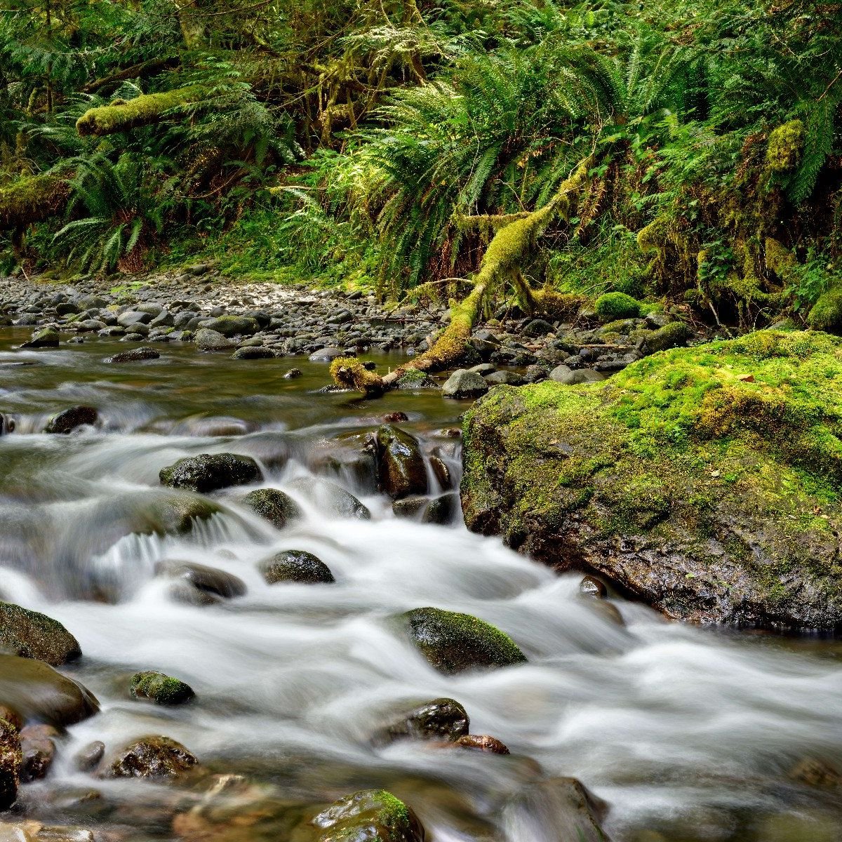 Grüner Felsen mit Fluss