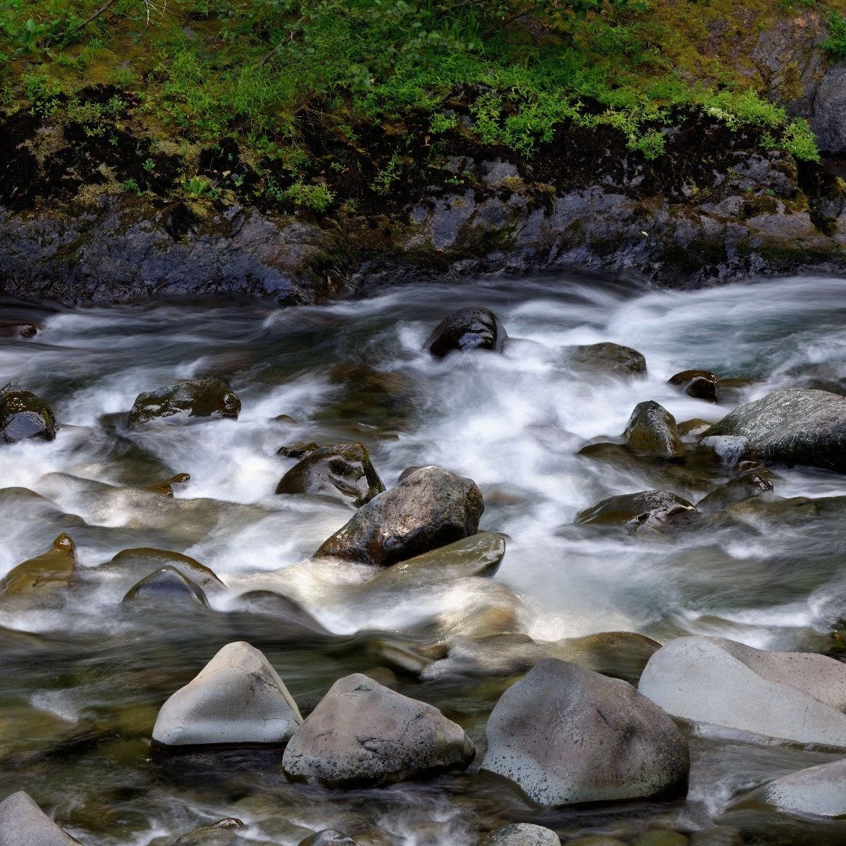 Rivier met rotsblokken