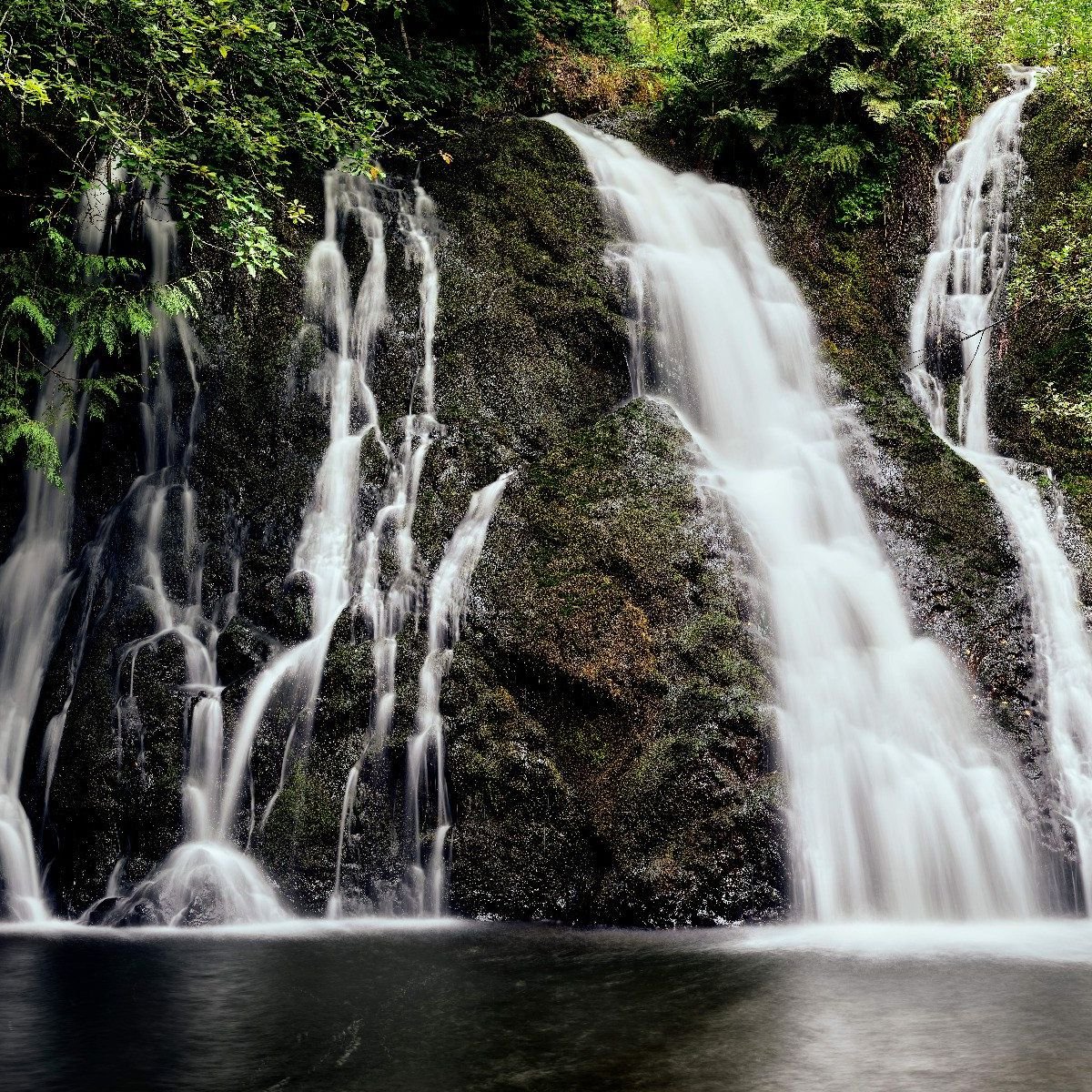 Waterval met 4 stromen