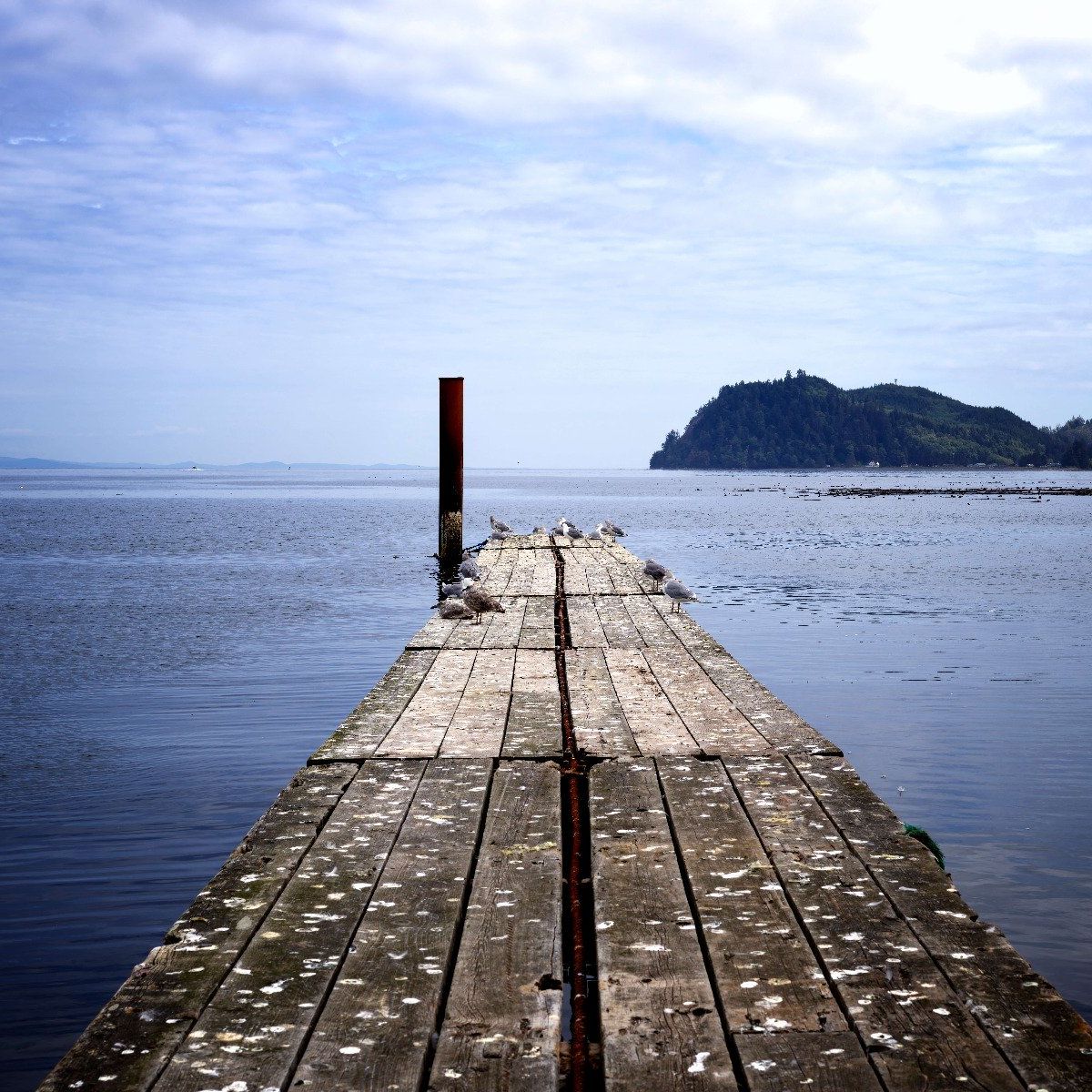 Gerüste im Meer