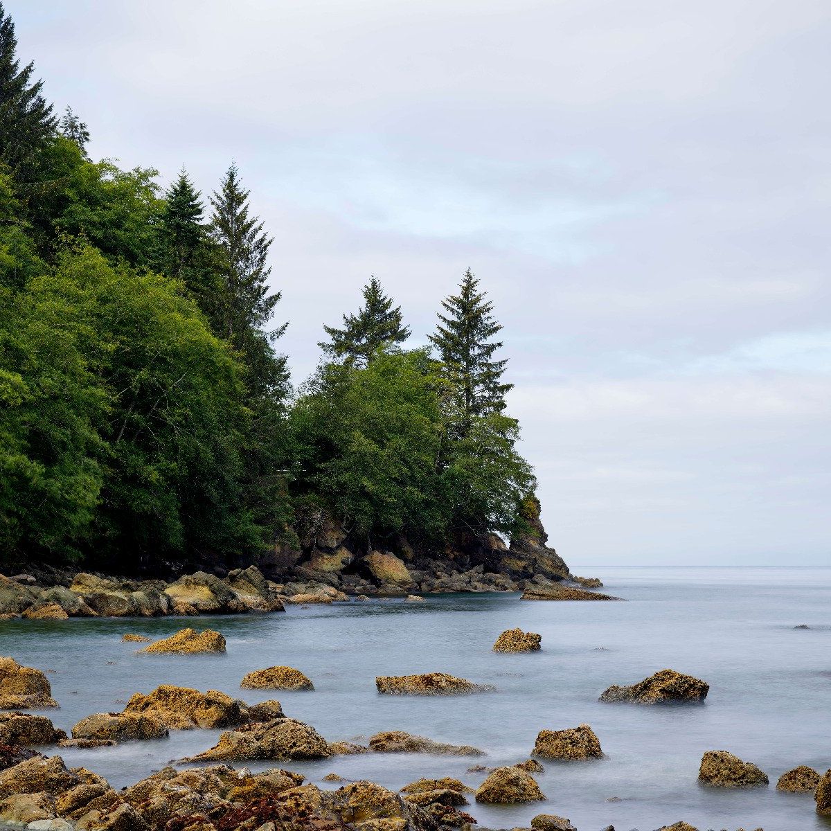 Rough coastline