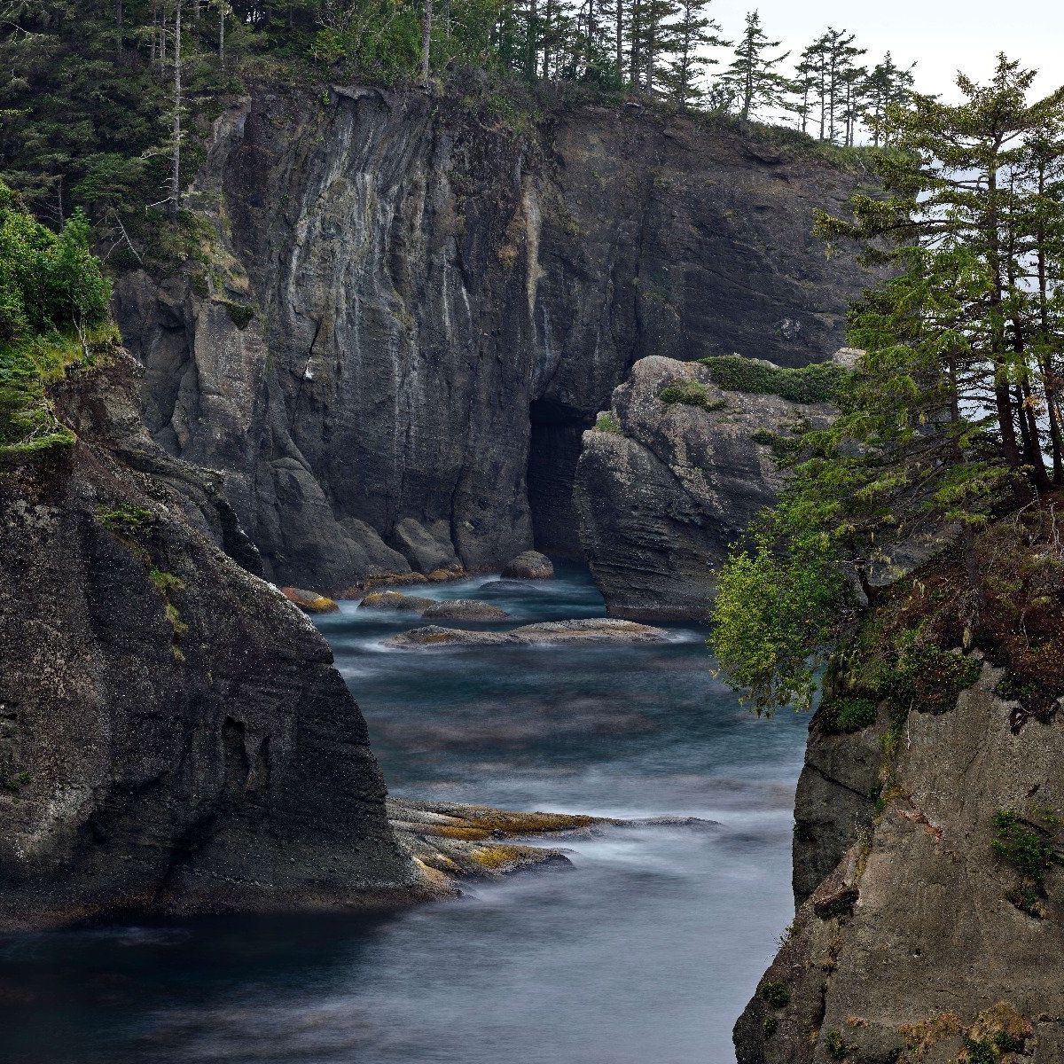 Côte rocheuse