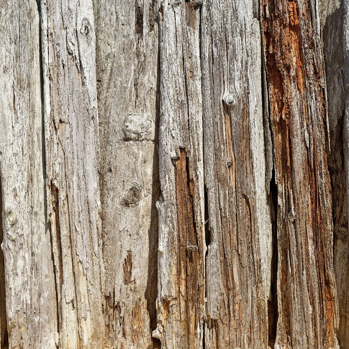 Vertical old wood
