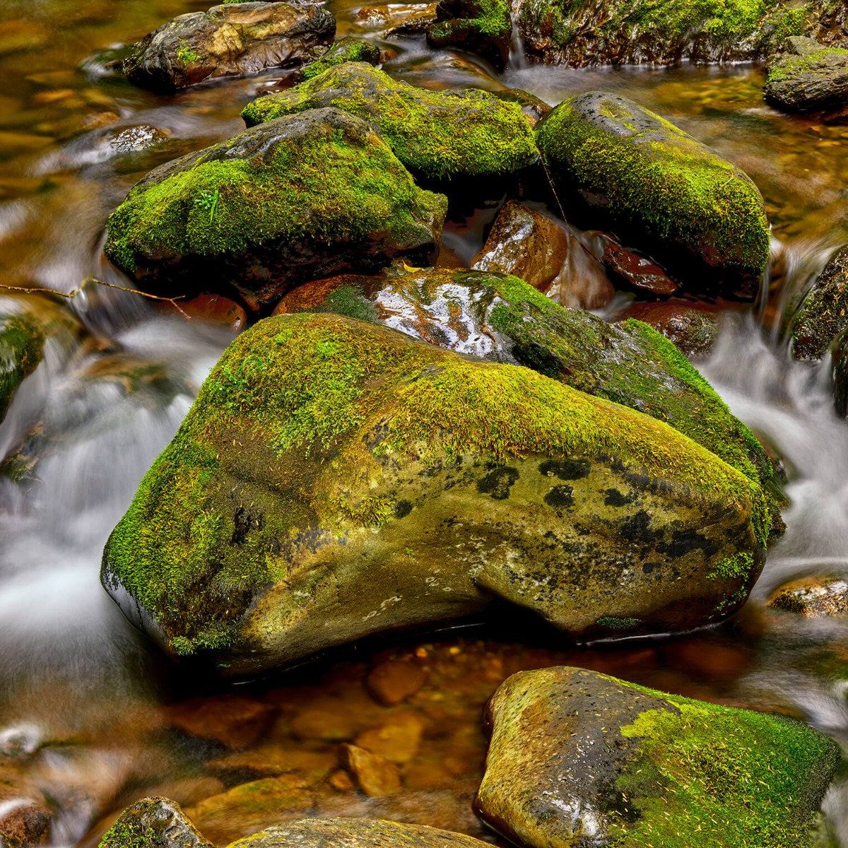 Grüne Felsen