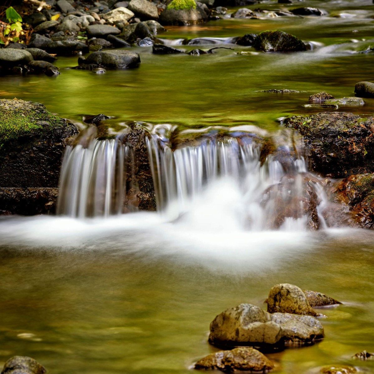 Gedetailleerde klein waterval