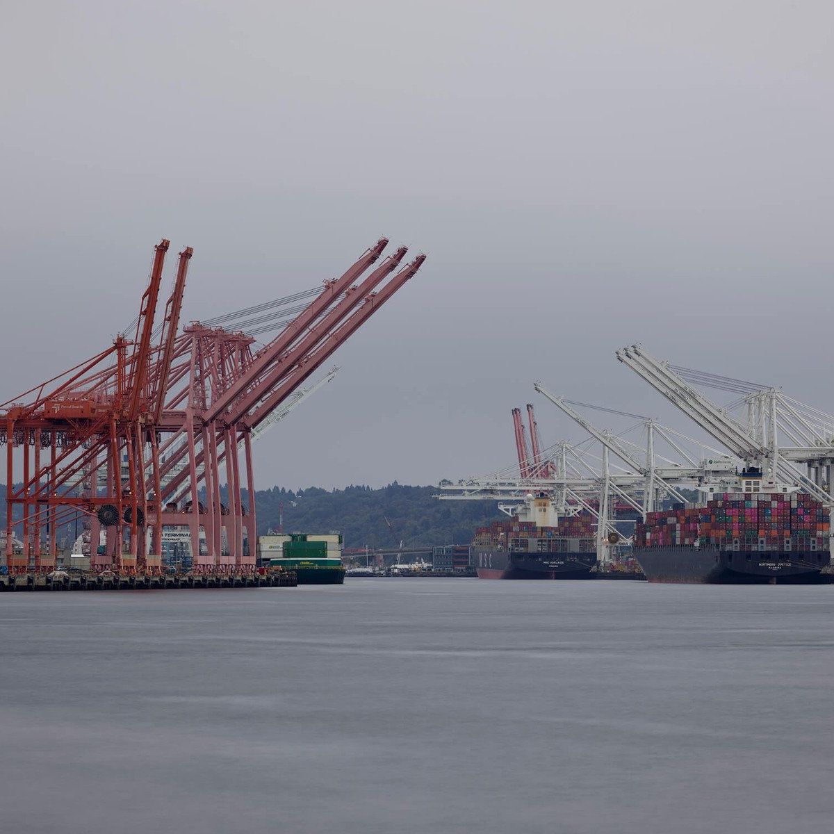 Grues dans le port