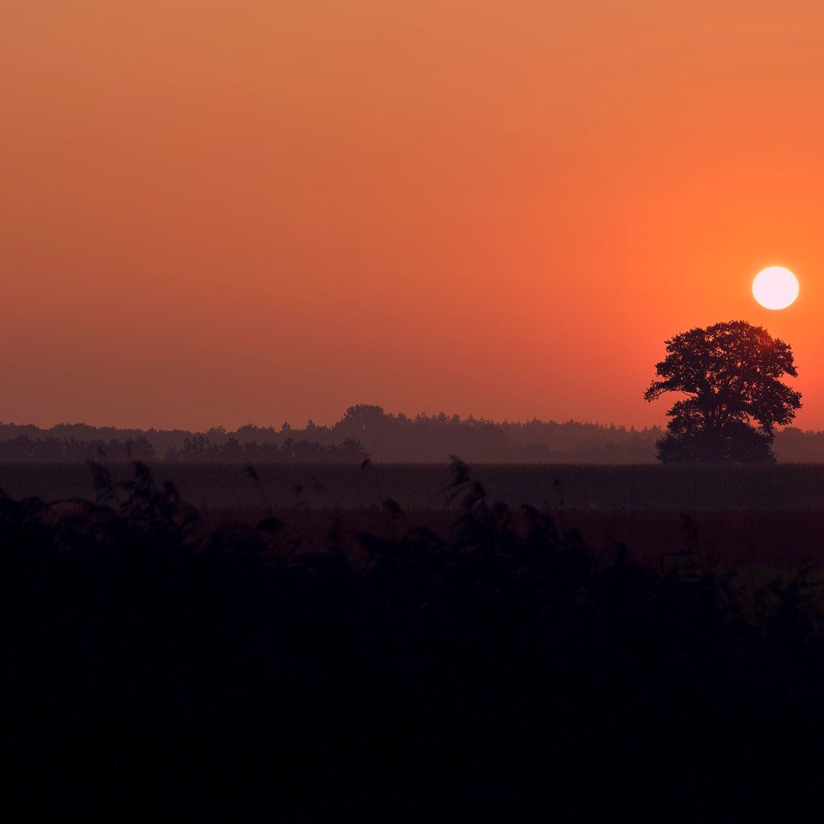 Lever du soleil