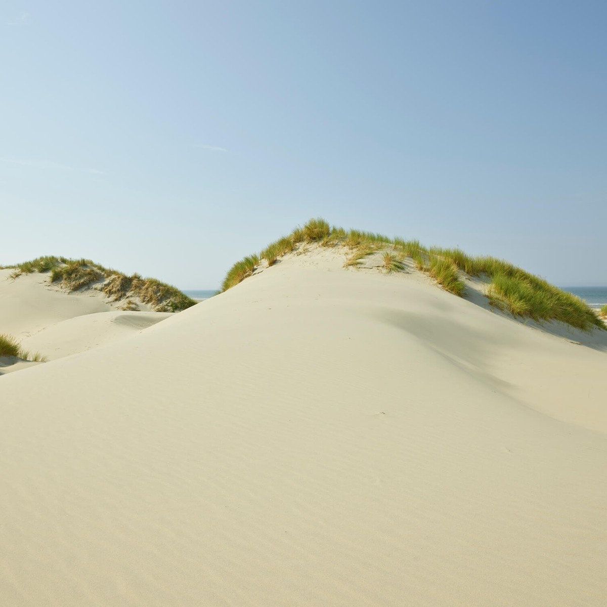 Dunes on the beach