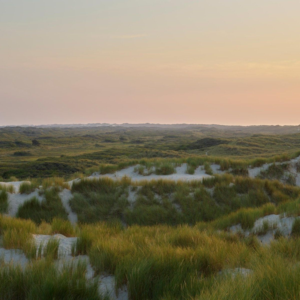 Sonnenuntergang in den Dünen