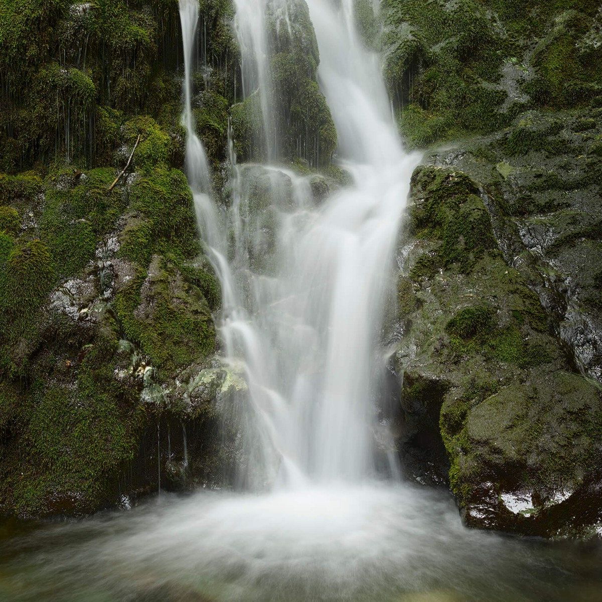 Wasserfall mit Wald gesäumt