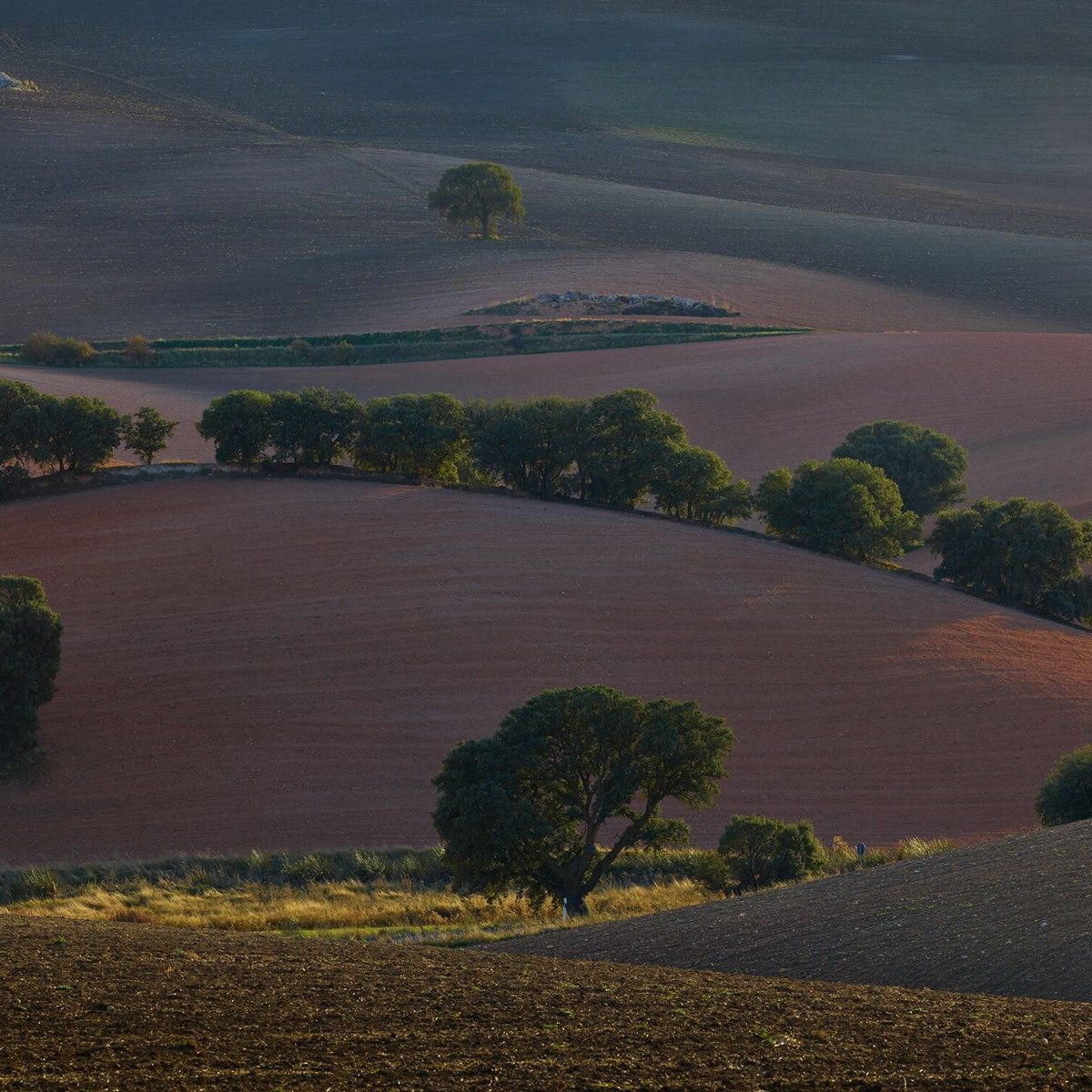 Zonsondergang tussen de heuvels