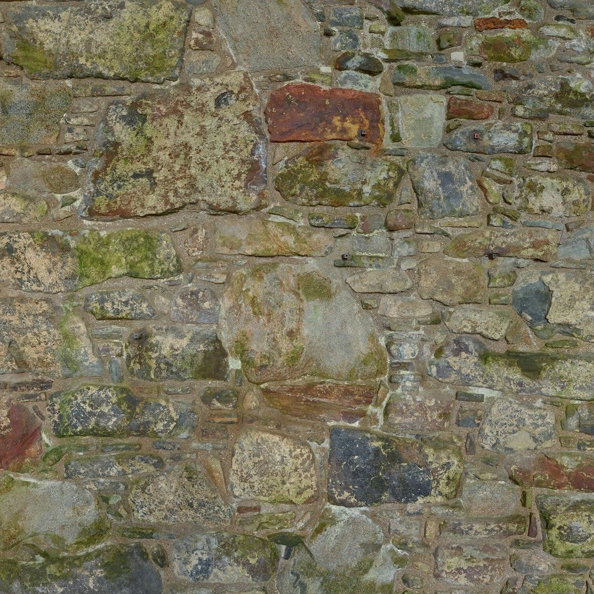 Old wall with moss