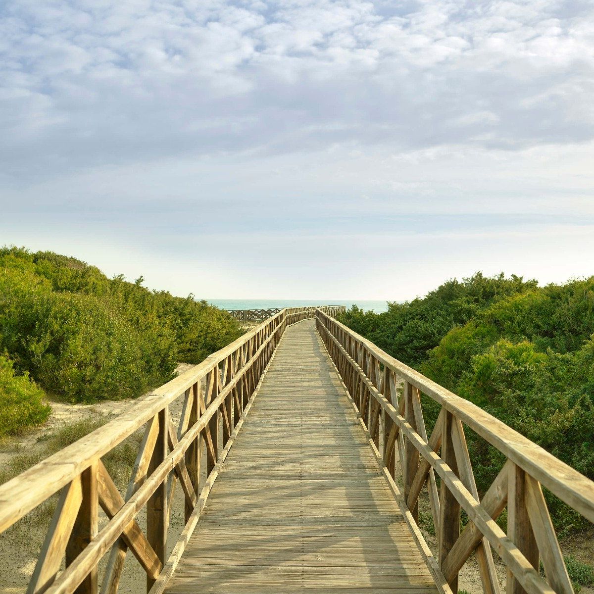 Gerüste zum Strand