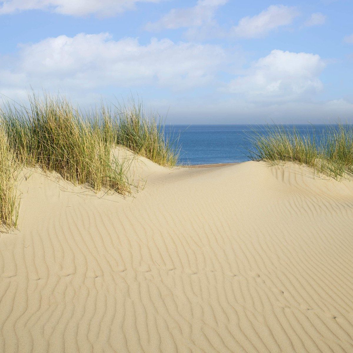 Duin doorgang naar het strand