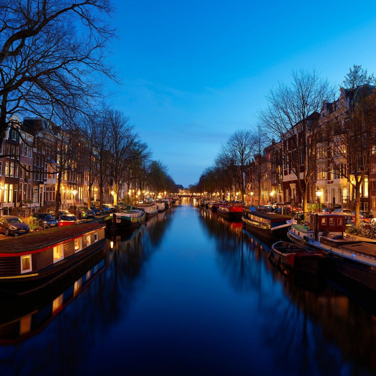 Houseboats along illuminated canal