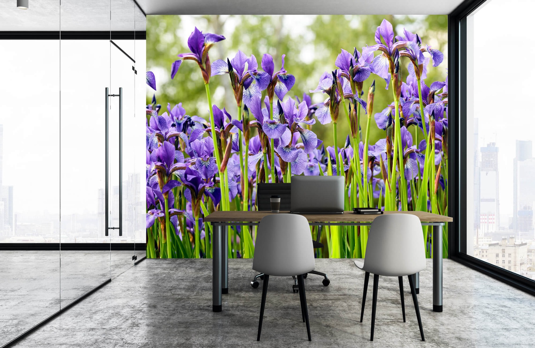 Flower fields - Irises  - Bedroom 4