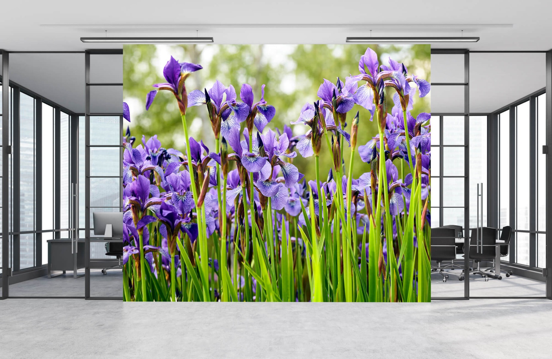 Flower fields - Irises  - Bedroom 9