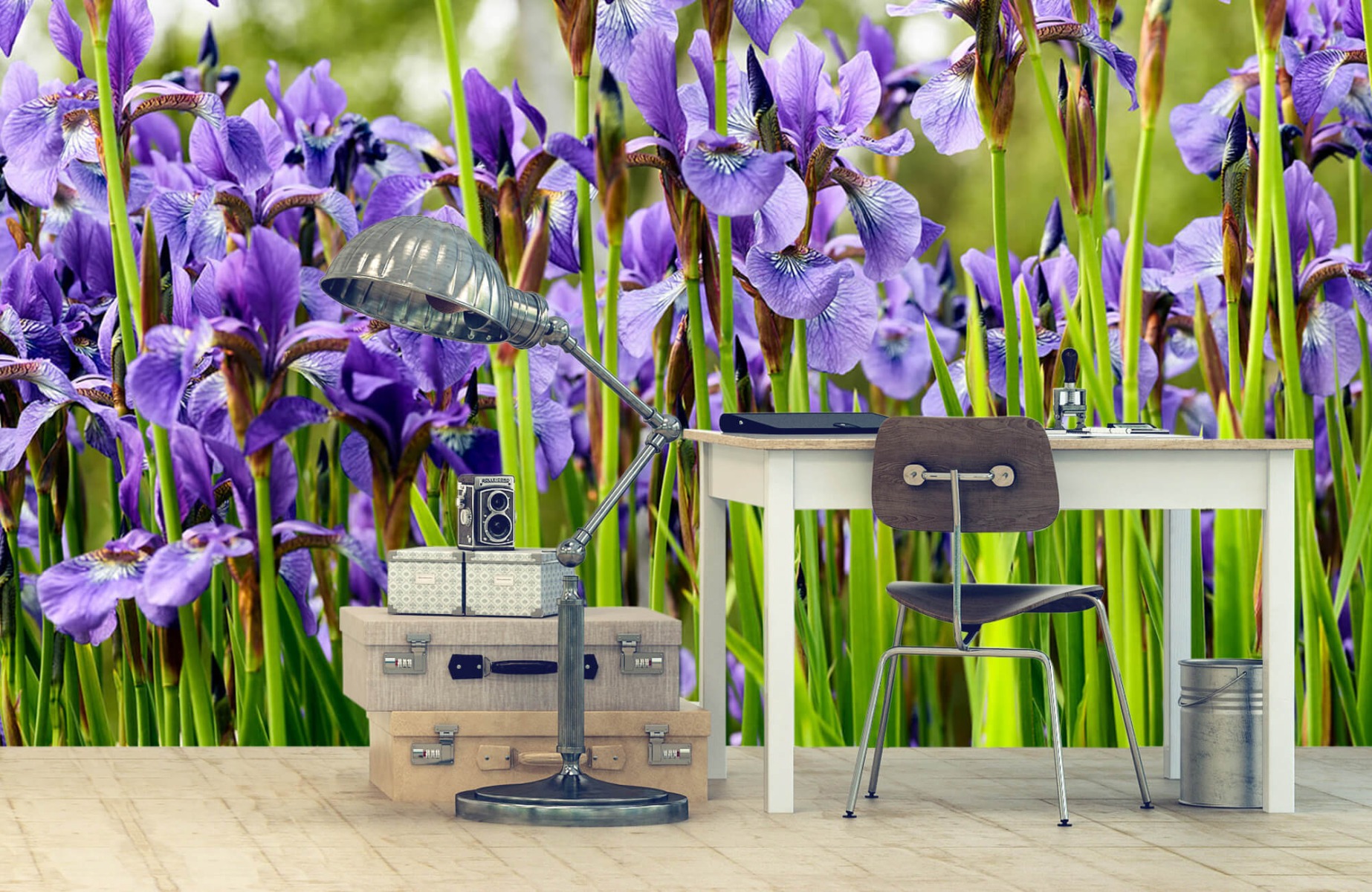 Flower fields - Irises  - Bedroom 10