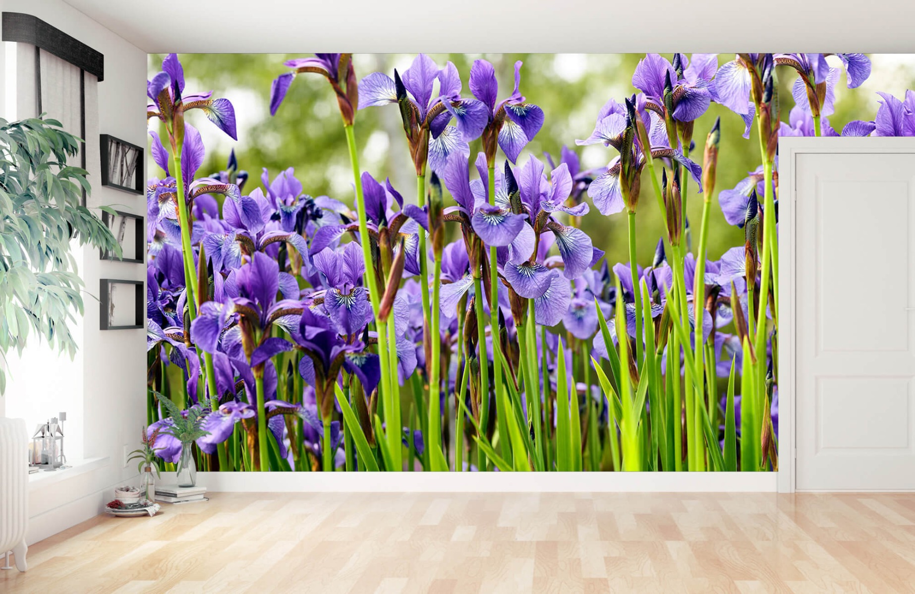 Flower fields - Irises  - Bedroom 12