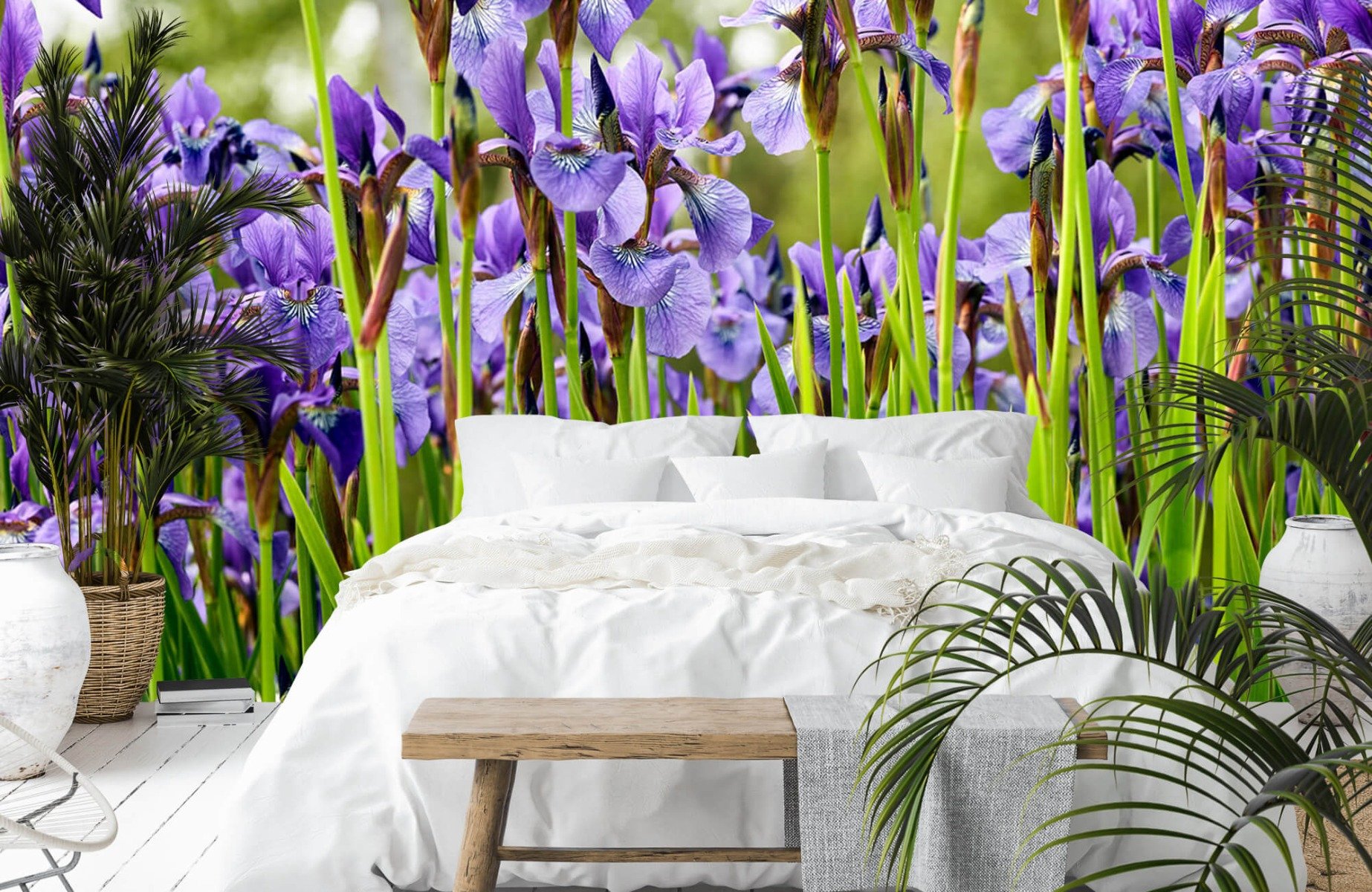 Flower fields - Irises  - Bedroom 14