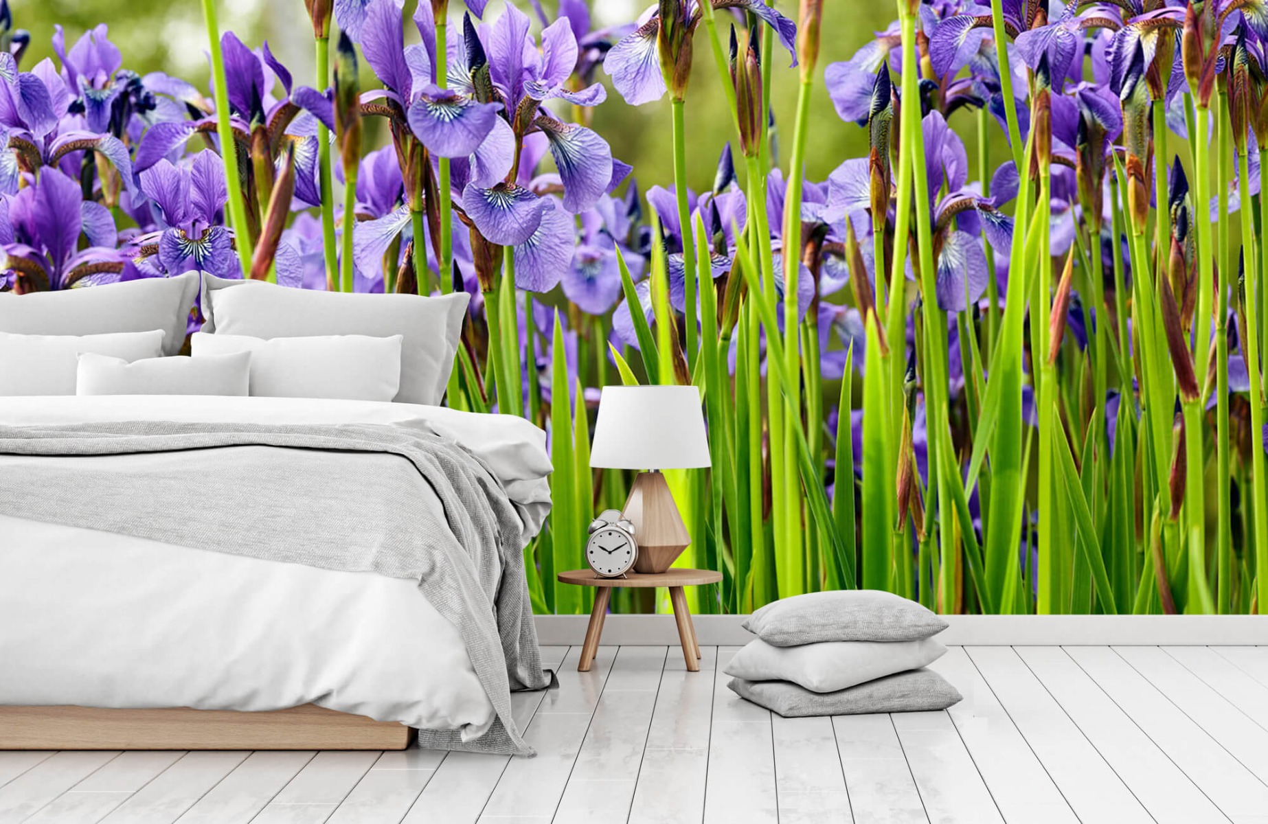 Flower fields - Irises  - Bedroom 15