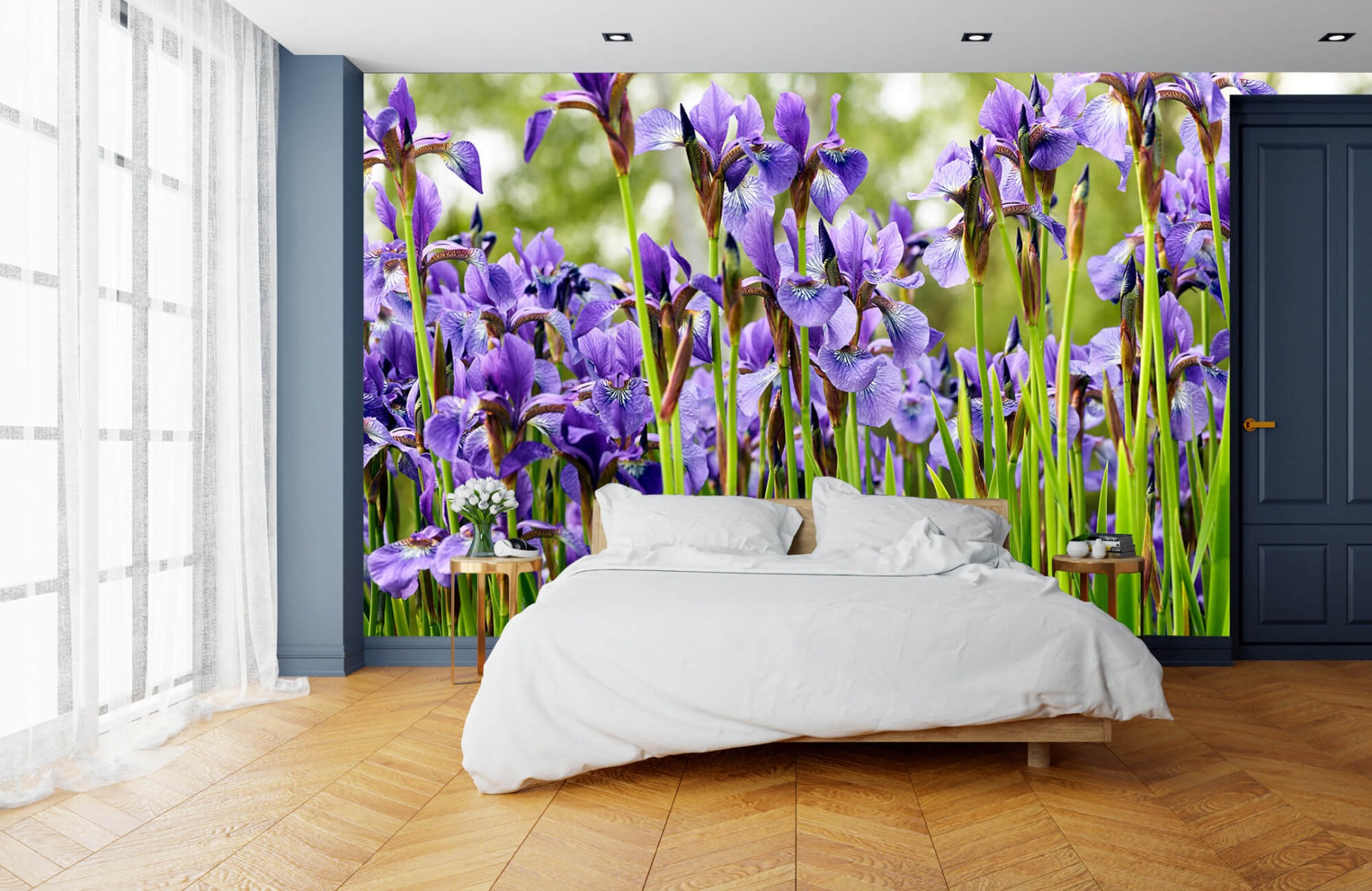 Flower fields - Irises  - Bedroom 16