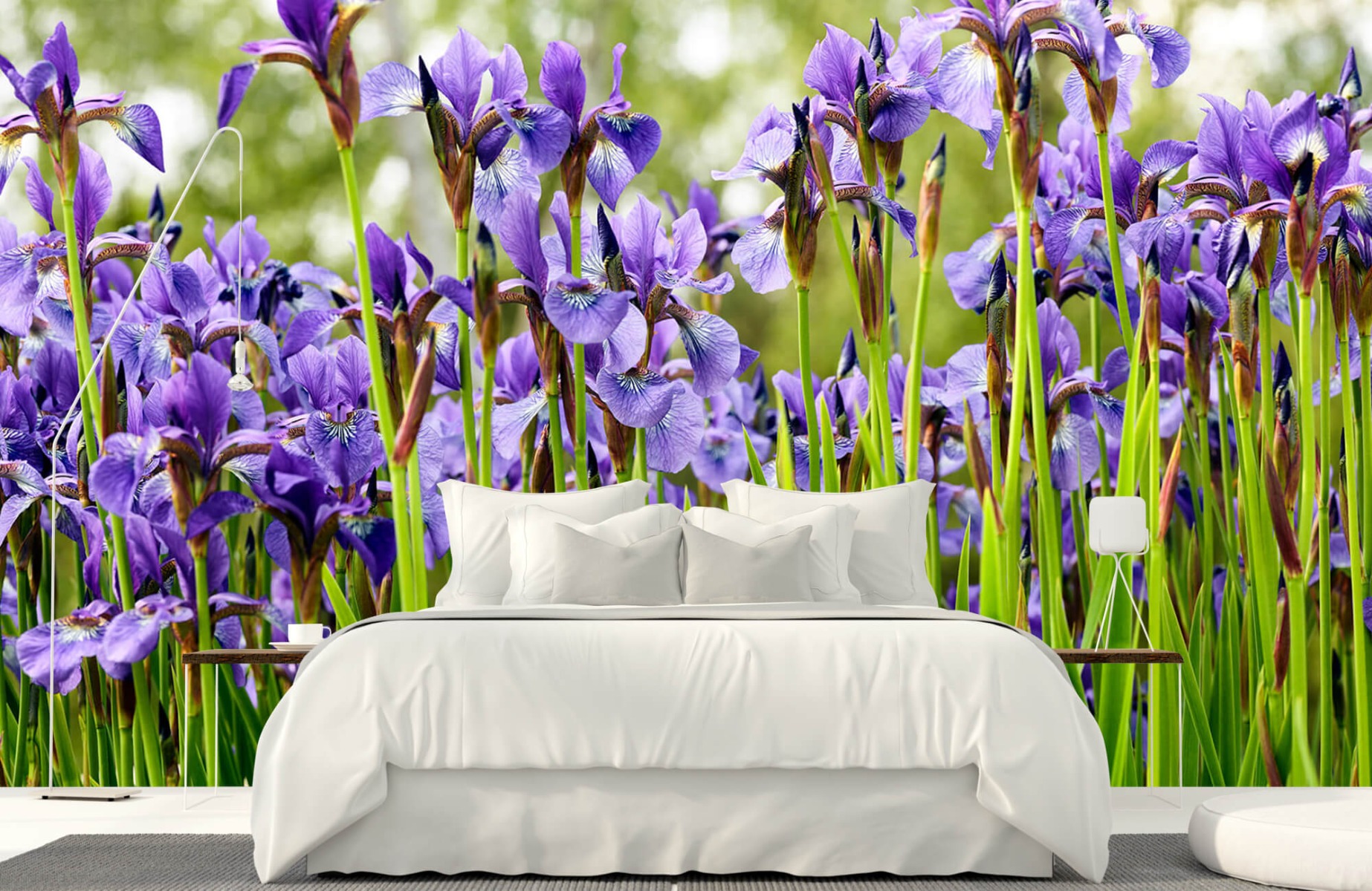 Flower fields - Irises  - Bedroom 17
