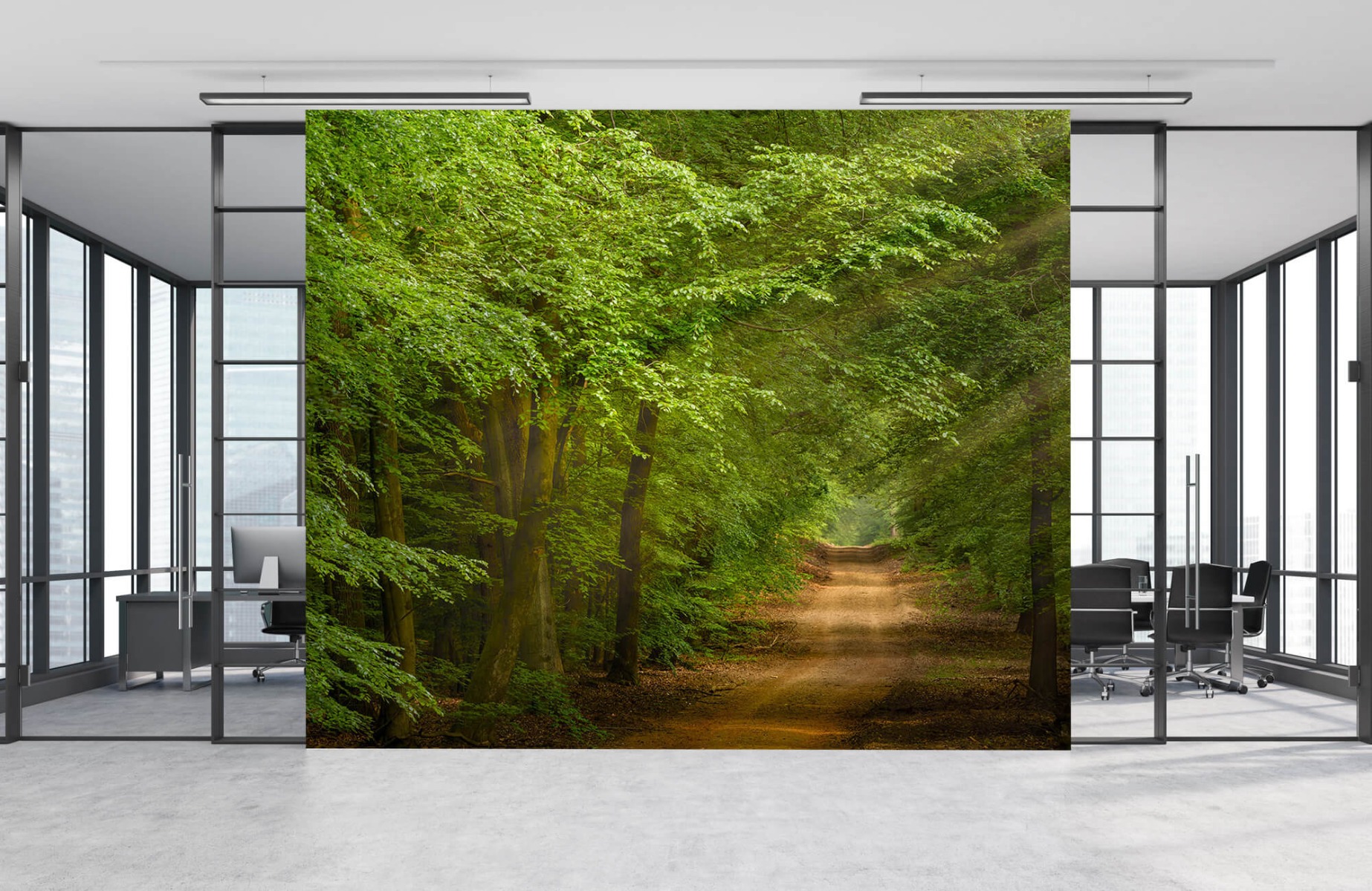 Forest wallpaper - Toad in forest with sunbeams  - Bedroom 9