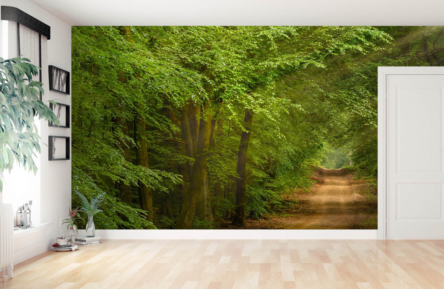 Forest wallpaper - Toad in forest with sunbeams  - Bedroom 11