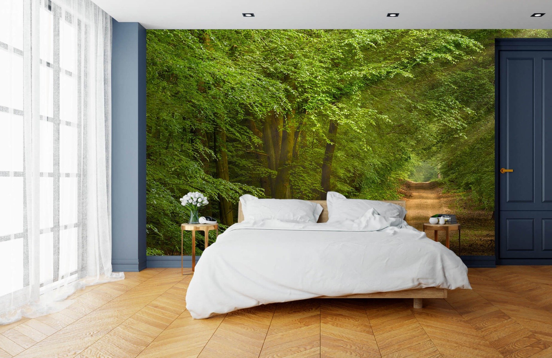 Forest wallpaper - Toad in forest with sunbeams  - Bedroom 15