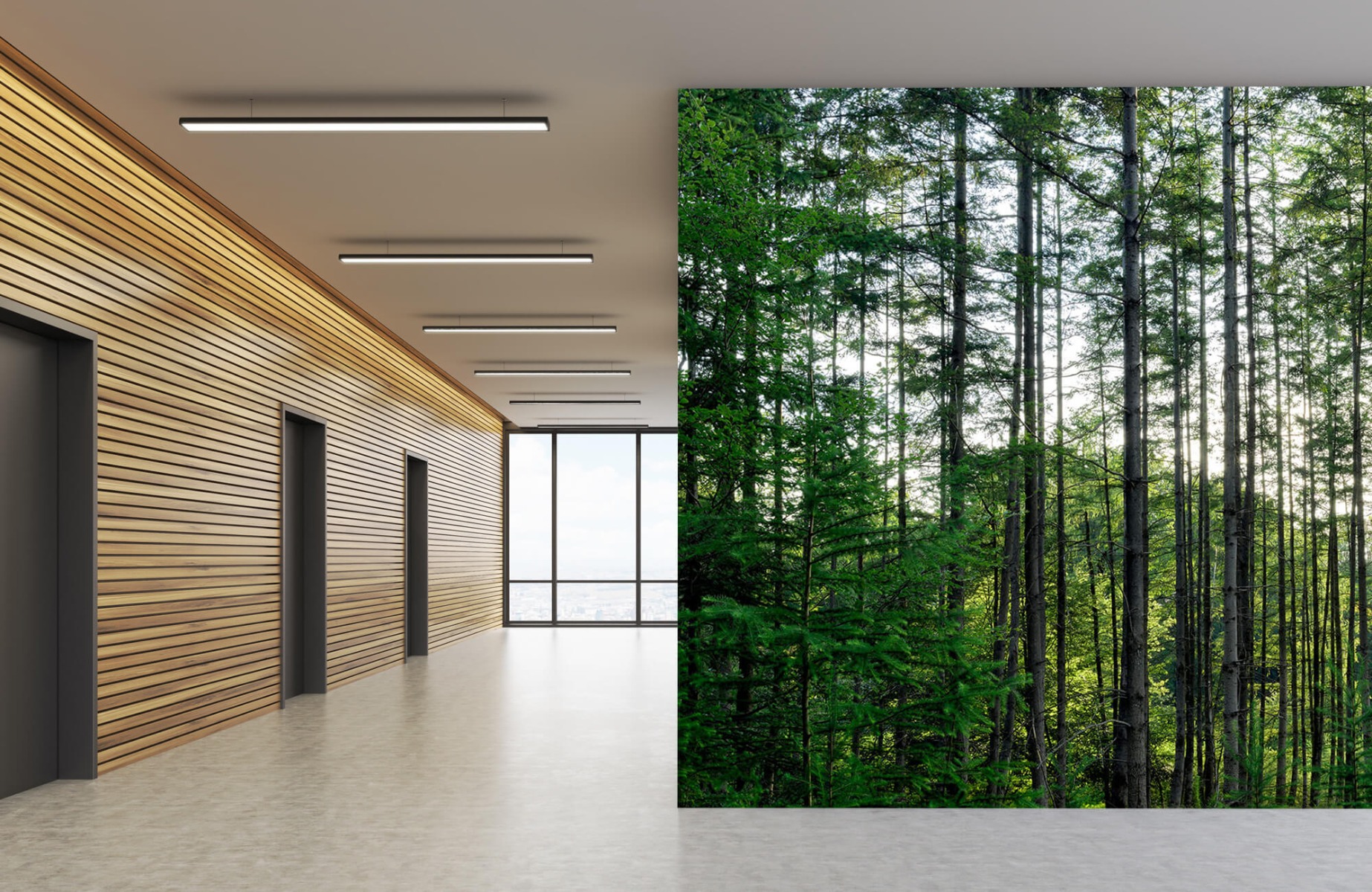 Forest wallpaper - Detailed forest  - Bedroom 5