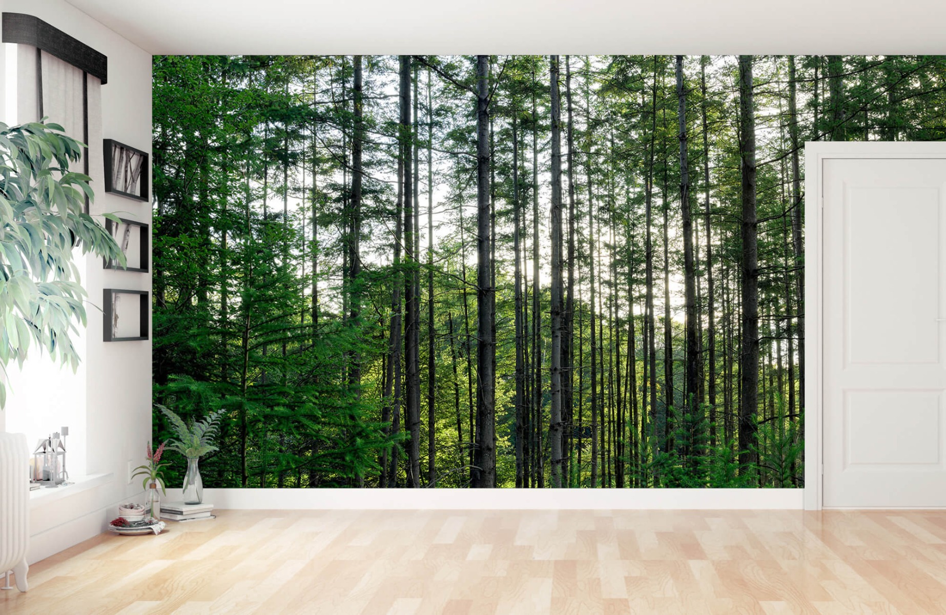 Forest wallpaper - Detailed forest  - Bedroom 11