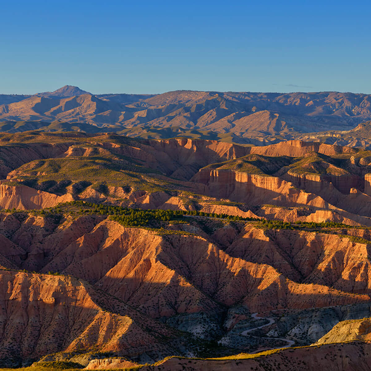 Les collines ensoleillées