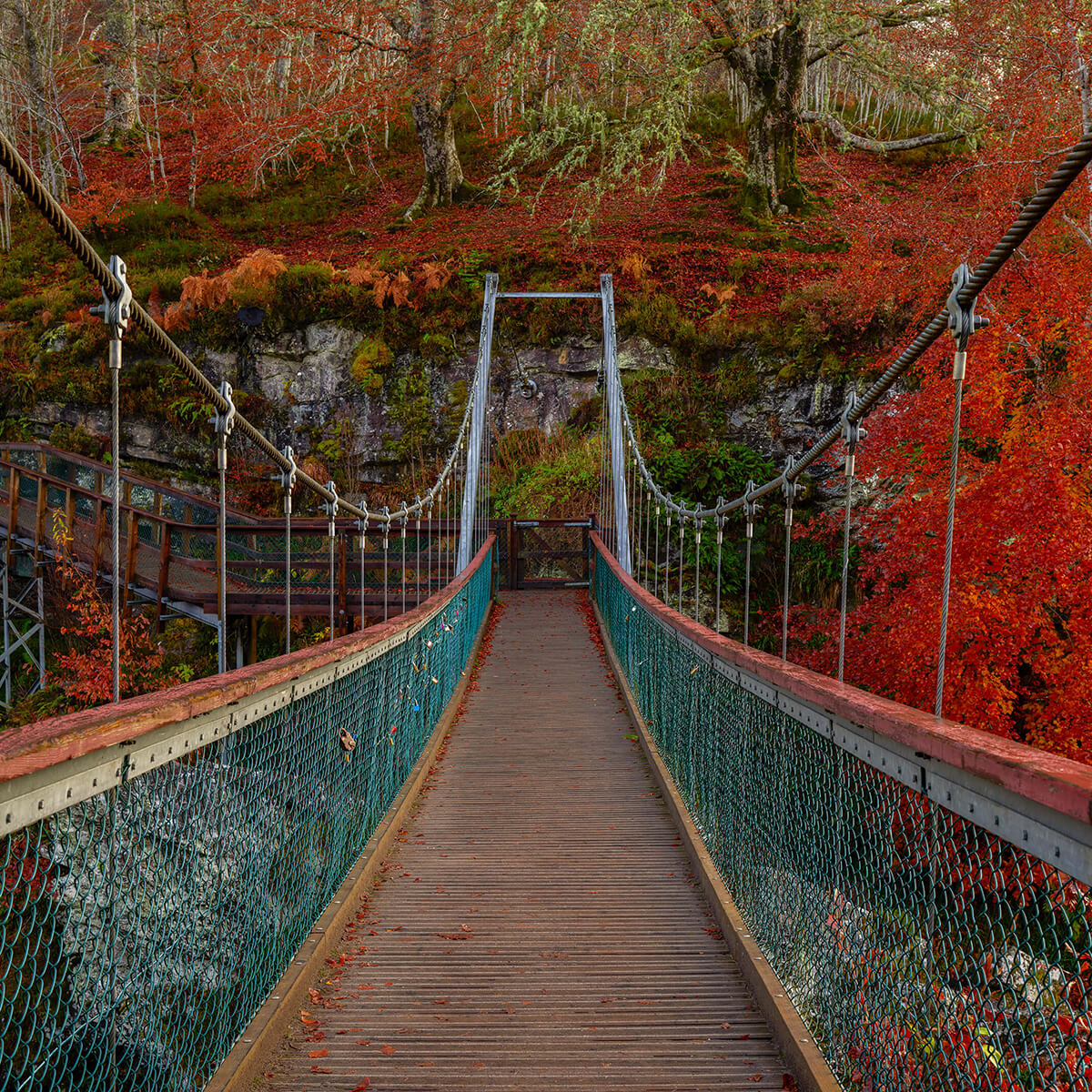 Pont dans un décor d'automne